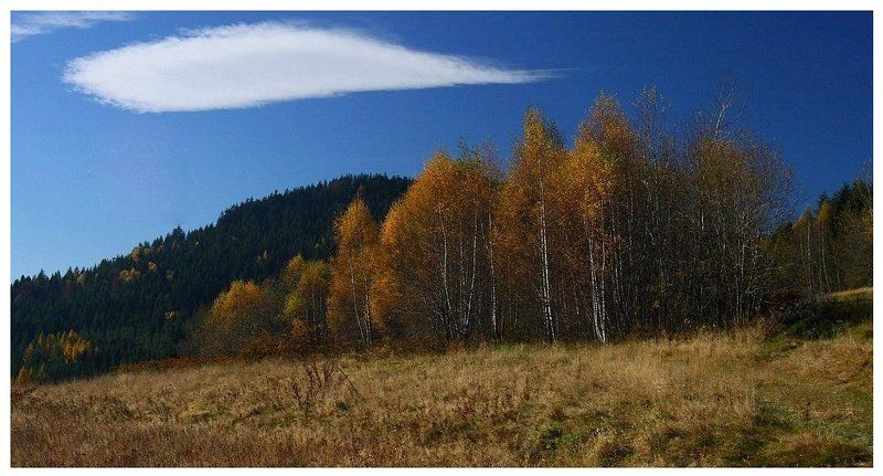 Hоябрь..photo preview