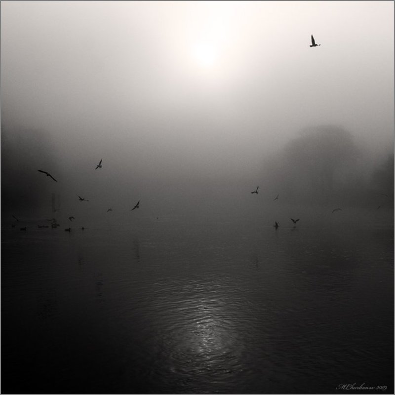 лондон, темза ***photo preview