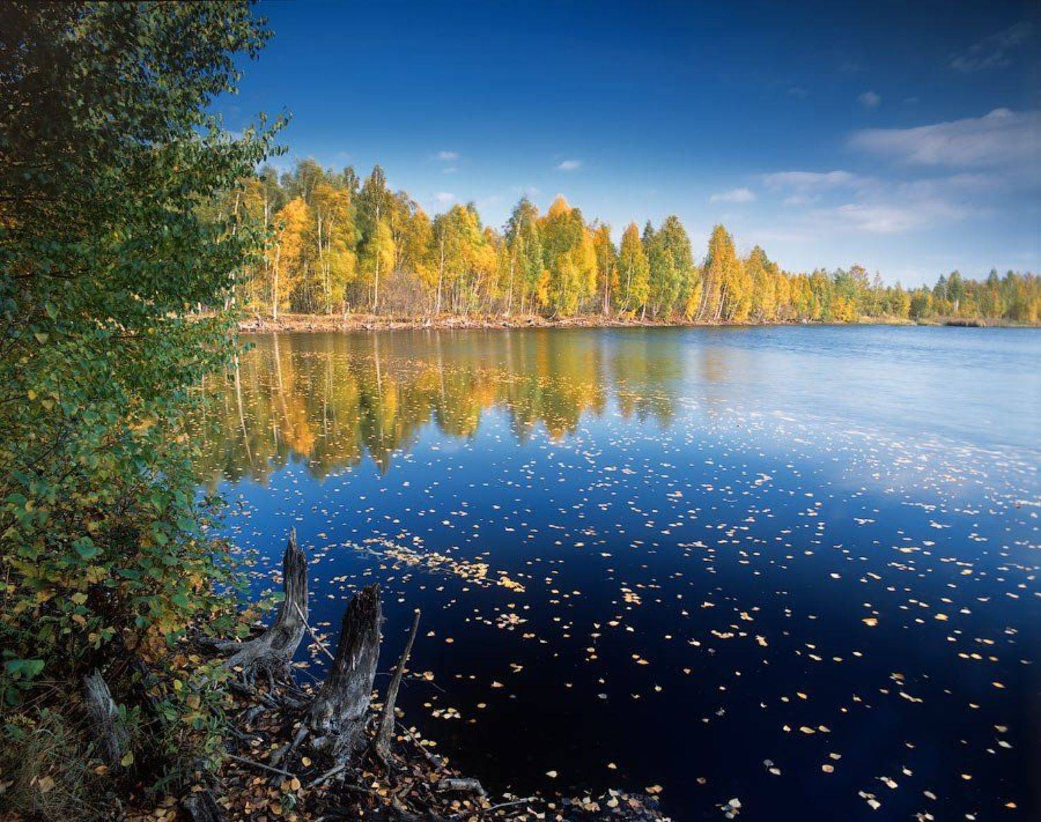 mformat, Дима Лялин