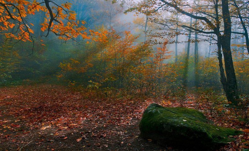 утро, горы, кавказ, туман ОСЕННИМ УТРОМphoto preview