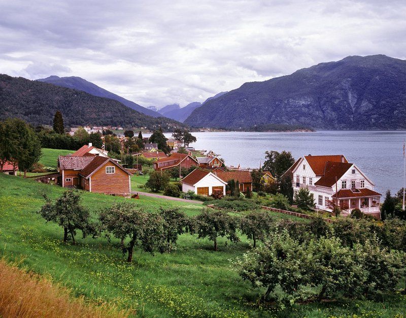 Норвежский фьёрдphoto preview