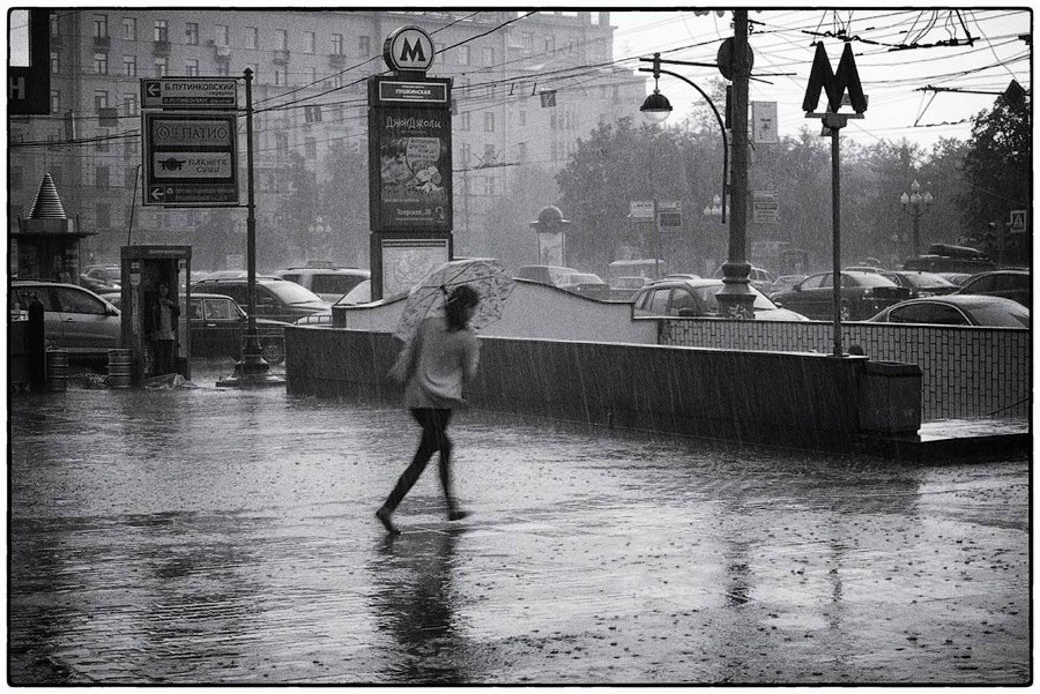 , Лунный Ежик