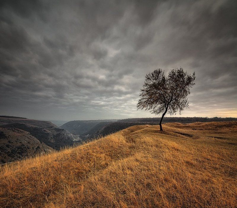 Встречая и провожаяphoto preview