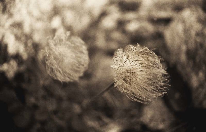 Offtaktedphoto preview