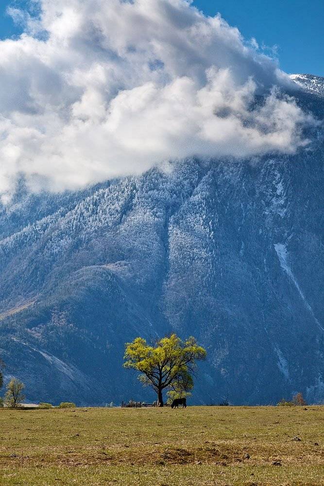 пейзаж, весна, Качурин Алексей