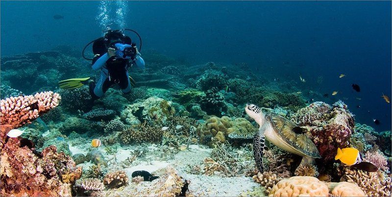 кыно Немая сцена фото превью