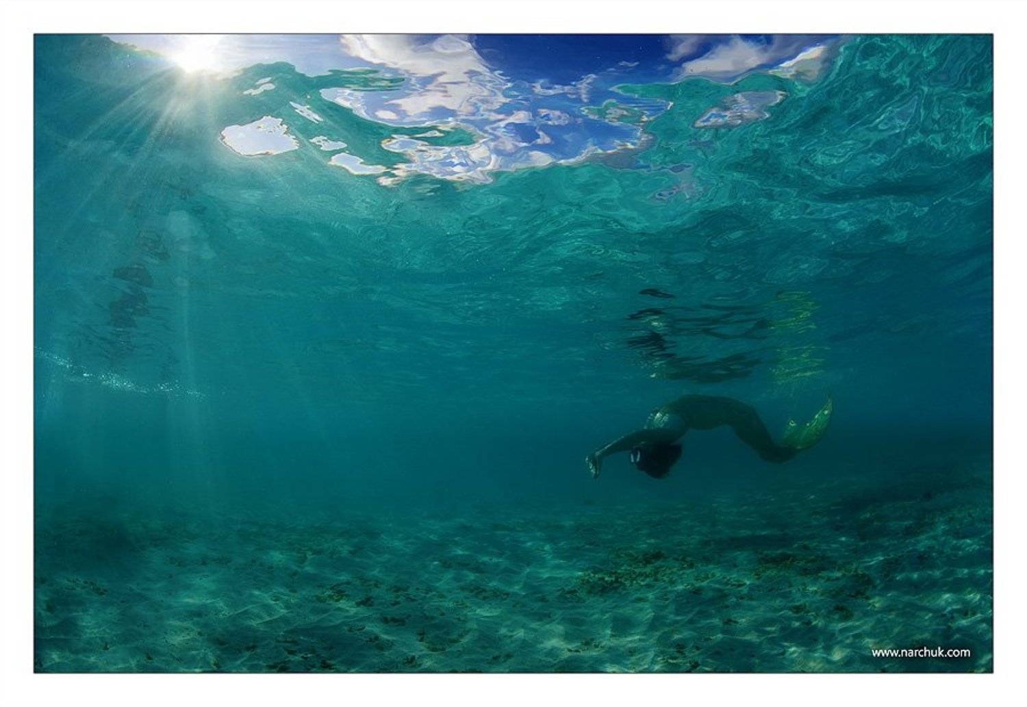 , Нарчук Андрей