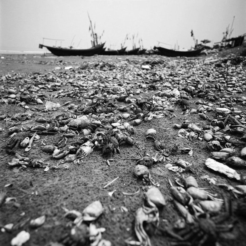 nam dinh, vietnam, mf An old fishing villagephoto preview