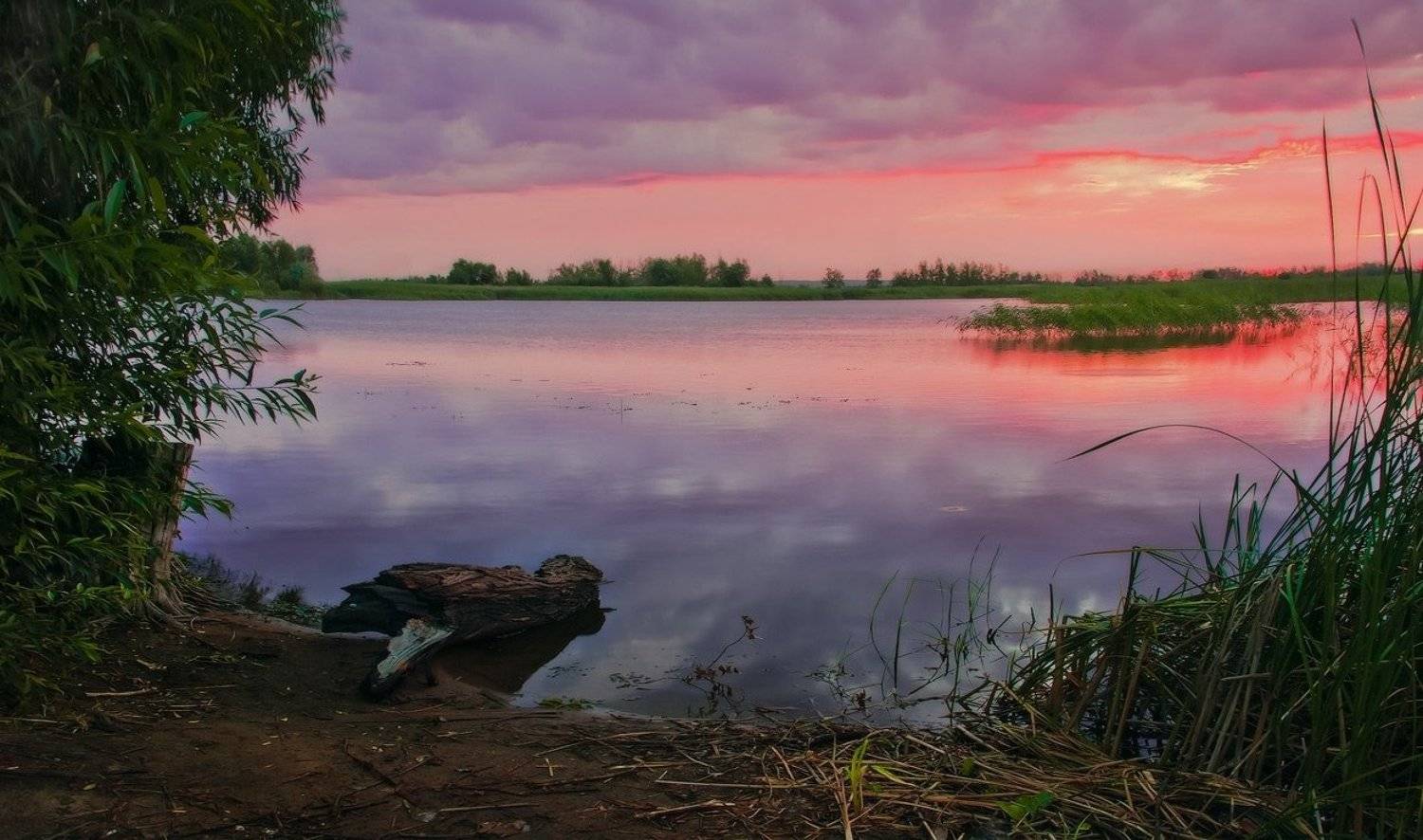 ***. Автор: Андрей Журавлев , Андрей Журавлев