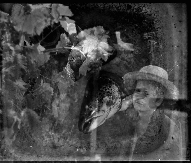 Форель и виноградарьphoto preview