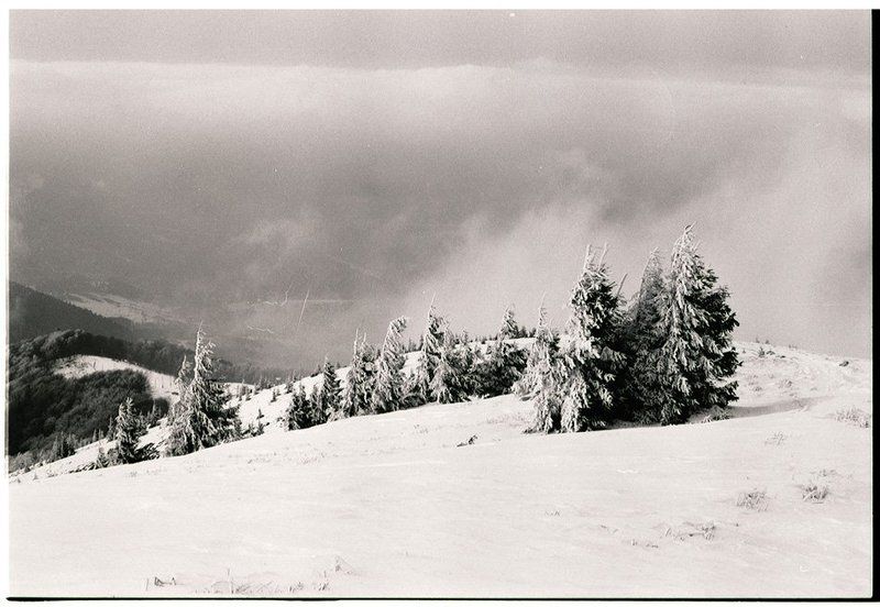 карпати Боржавські полонини / Borzhava gladesphoto preview
