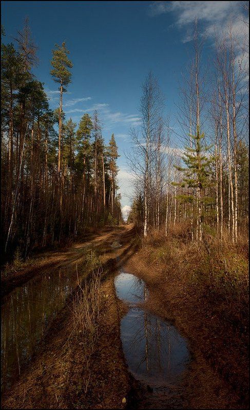 дорога по дороге домой фото превью