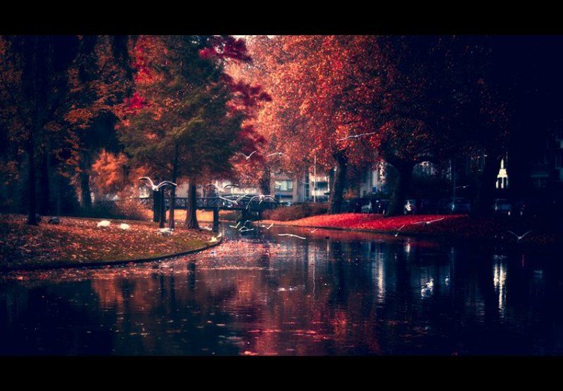 Осень в Роттердамеphoto preview