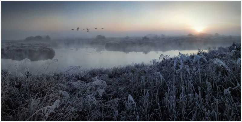 утро, иней, рассвет Об одном утре...photo preview