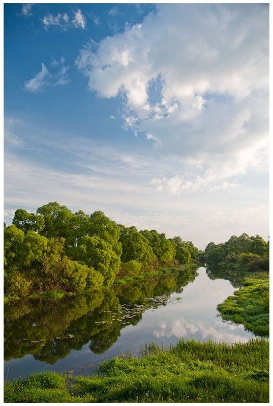 Летняяphoto preview