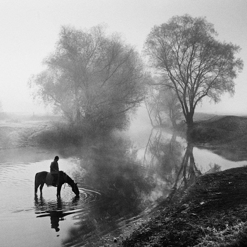 туман бродphoto preview