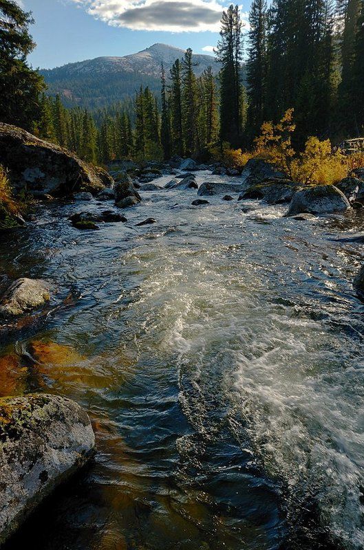 Последний лучик.photo preview