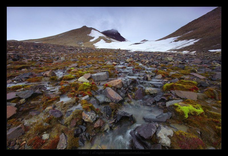 Горный ручей на острове Чамп (II)photo preview