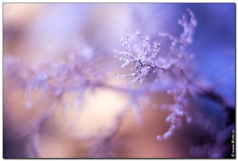 sigma, 85mm, f, 1.4, ноябрь Ноябрьphoto preview