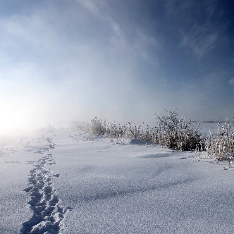 На ветерphoto preview