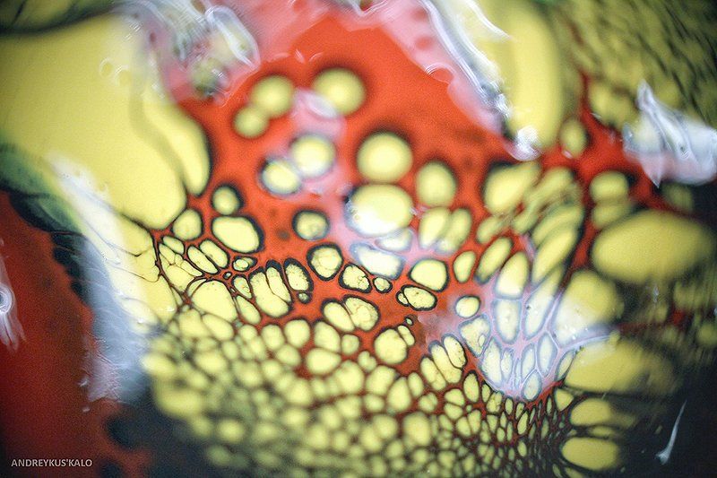 Шкура драконаphoto preview