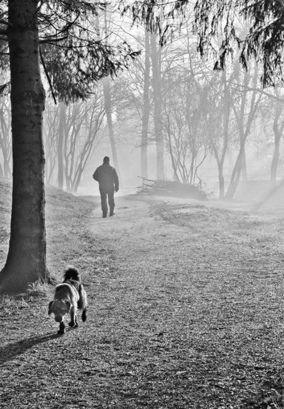 Поругались,,,photo preview