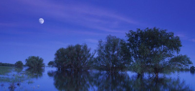 луна.вечер.деревья.вода.река. Ахтуба,вечер.photo preview