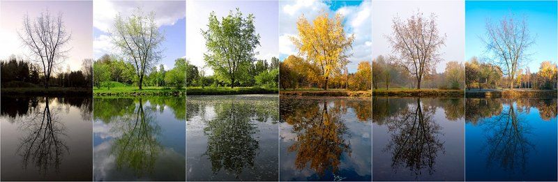 Цикл жизниphoto preview