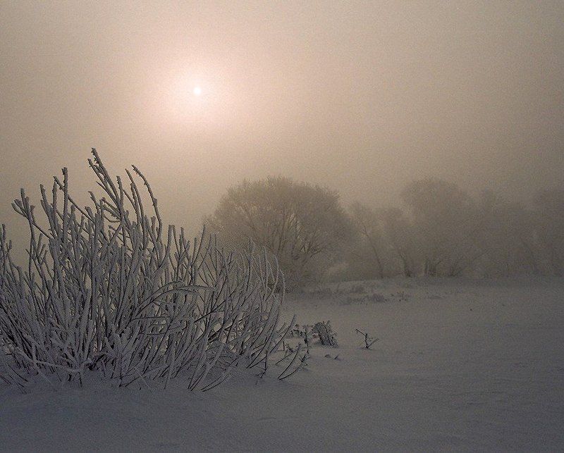 зима, река, туман Утро туманное....photo preview