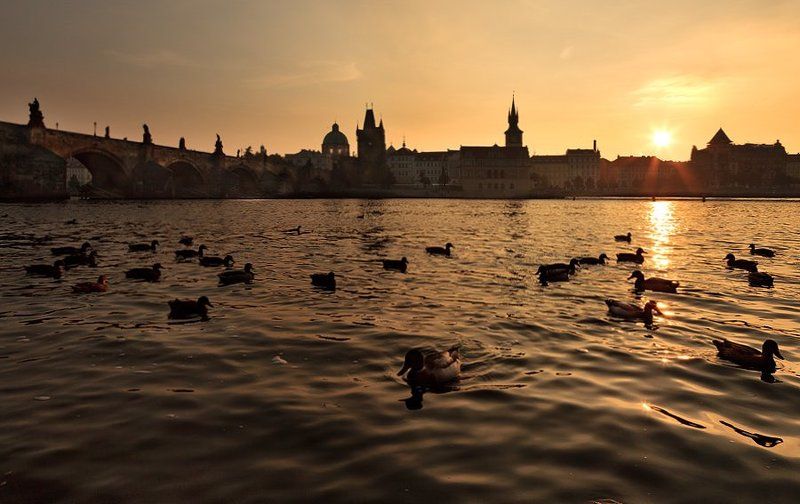 Уткина заводьphoto preview