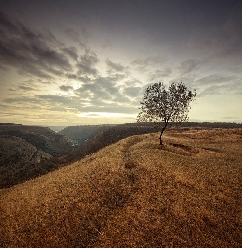 Встречая и провожая 2photo preview