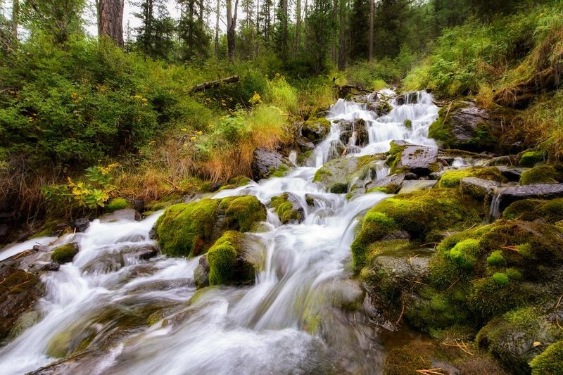 пейзаж, путешествие, горы, алтай, Алтайский ручейphoto preview