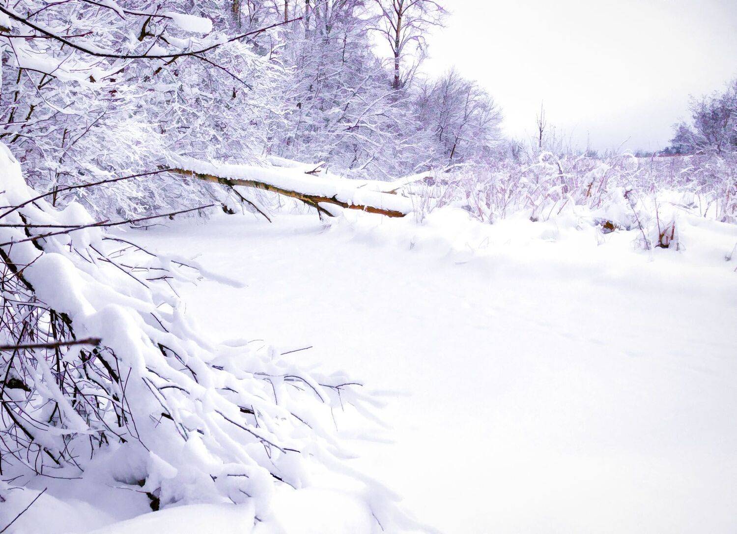 Автор: Алексей Герасимов , Алексей Герасимов