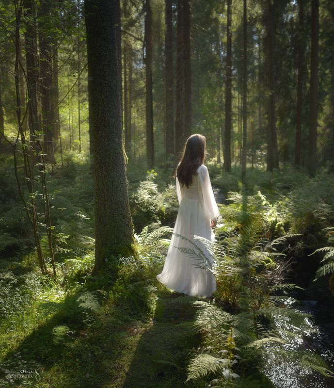 рощино, лес, ель, папоротники, лето, автопортрет, ленинградская область, солнечные лучи, белое платье На Чудесном ручьеphoto preview