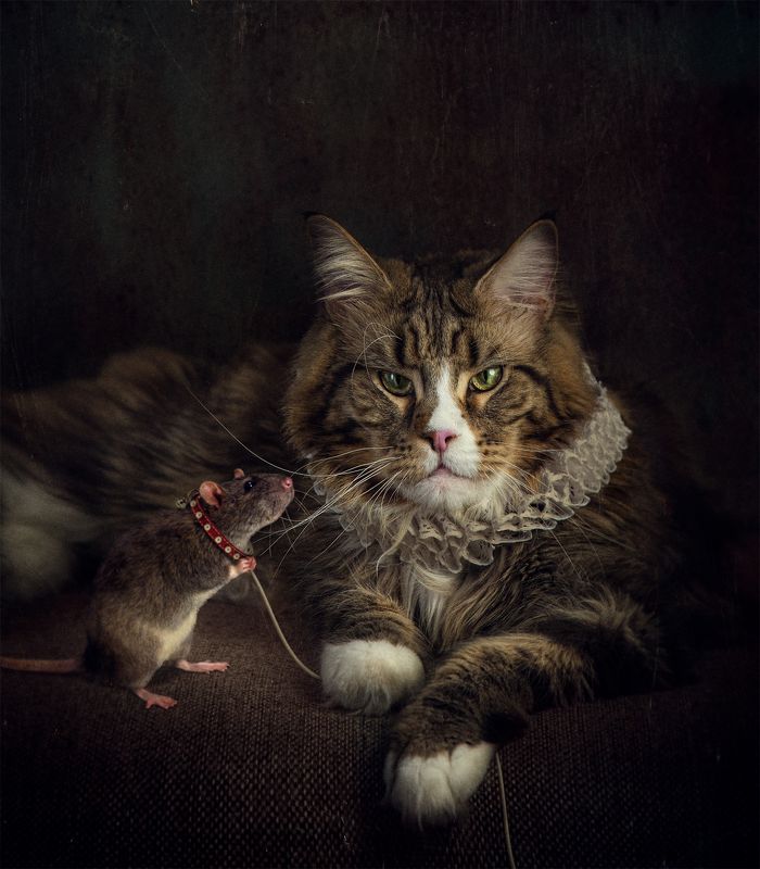 Pet\'s Petphoto preview