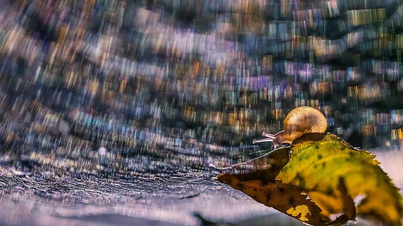 Северное сияние в Рождественскую ночьphoto preview