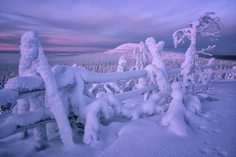 Где-то в Лапландии...photo preview