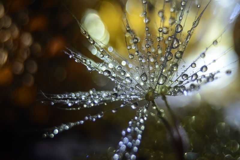 Новогодняя звезда.photo preview