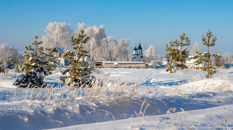 церковь, храм, сосны, мороз, иней, зима, деревня photo preview