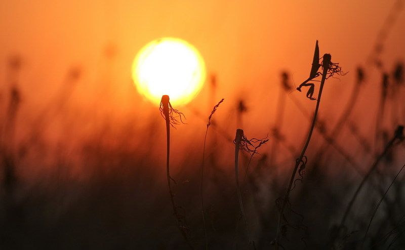 Тот кто зажигает фонариphoto preview