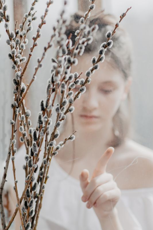 вербное воскресенье Вербное воскресеньеphoto preview