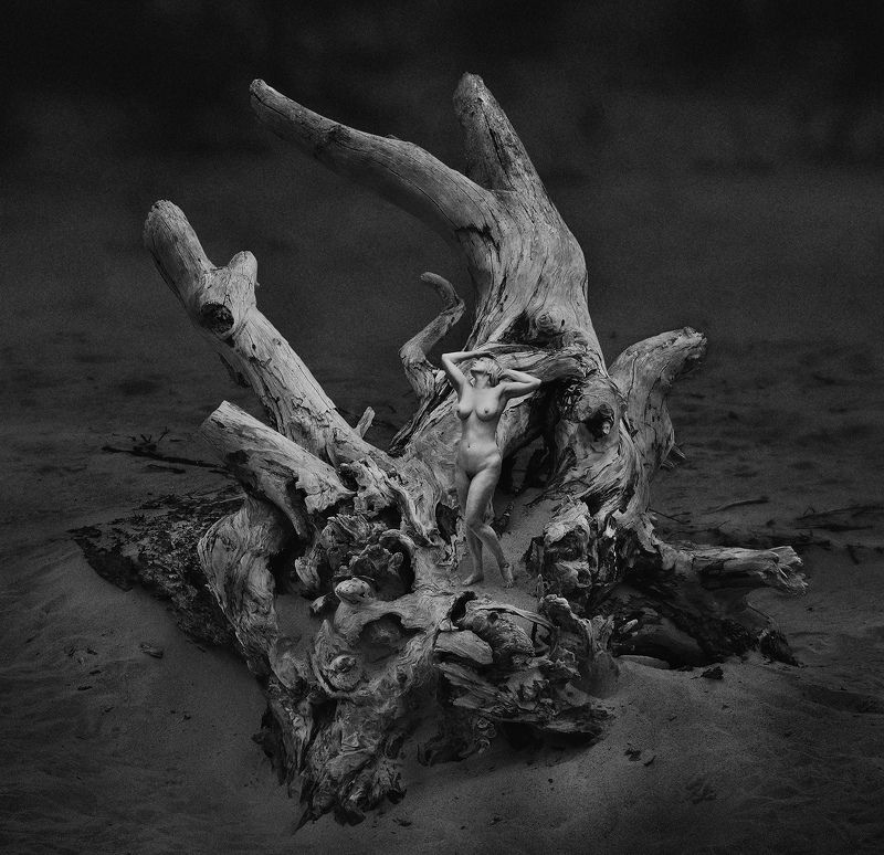 Сон - Iphoto preview