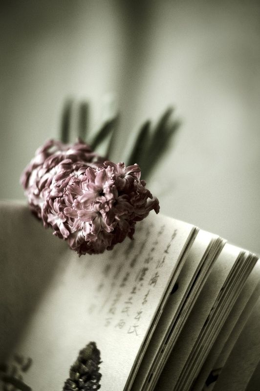 В ожидании встречи...photo preview