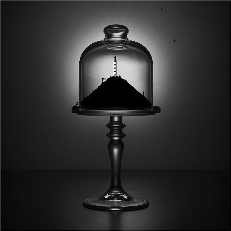 Силуэтыphoto preview