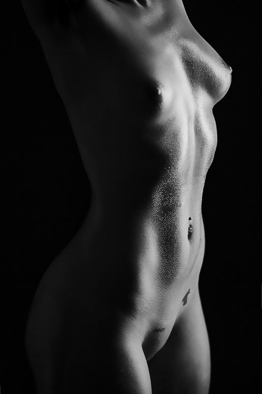 nude, fine art, bodylines, black and white, sexy, tattoos, tattoo, fit body,  down the linesphoto preview