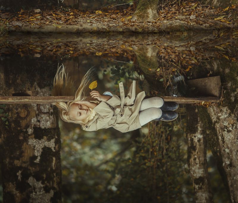 Отражениеphoto preview