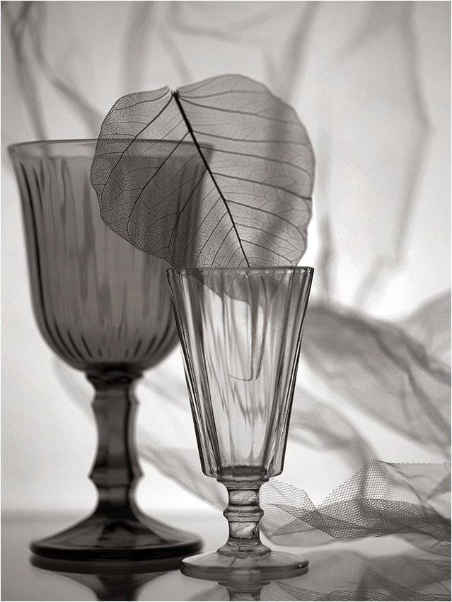 бокал, лист, стопка, натюрморт, драпировка, сепия,, Victor Pechenev