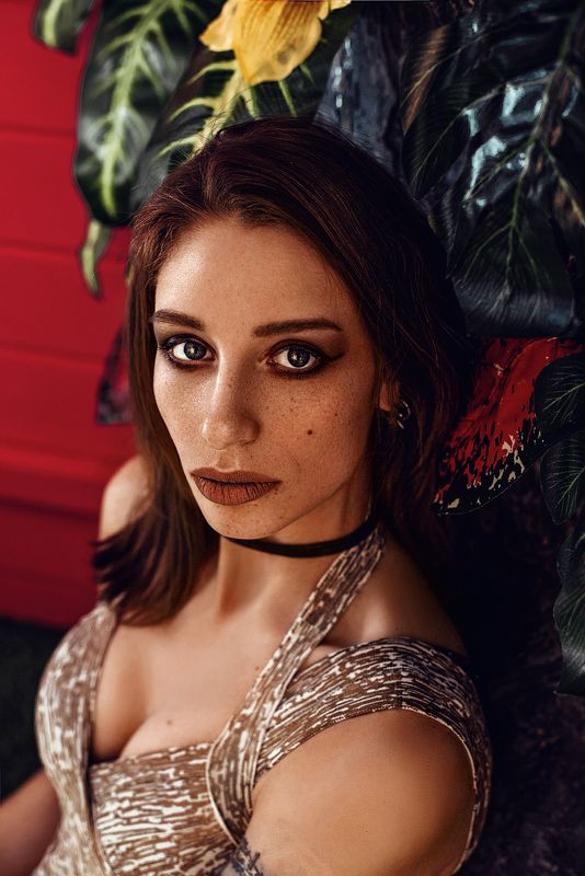 Tropicosphoto preview