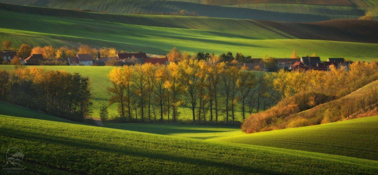 пейзаж, природа, поле, моравия, чехия, Анатолий Гордиенко