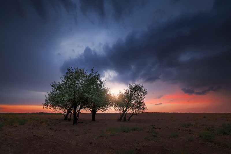 landscape Sunsetphoto preview